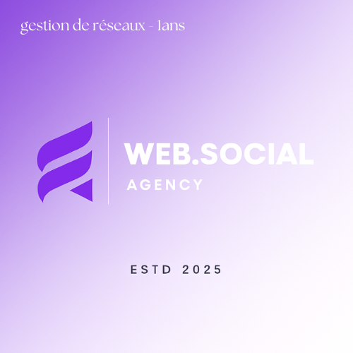 Gestion de réseaux sociaux - 1 an